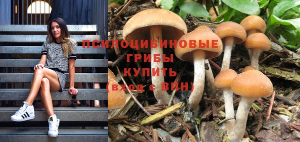скорость Алзамай
