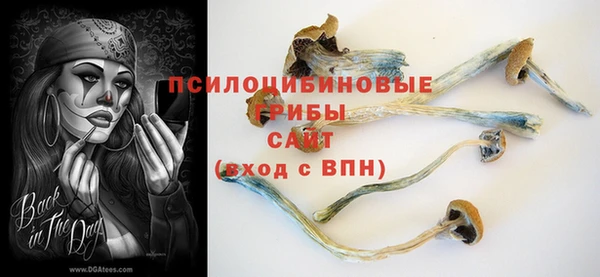 прущие грибы Алексеевка