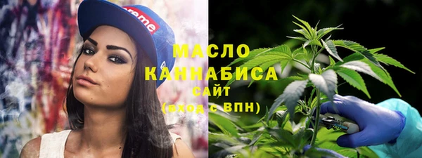 дмт Алексин