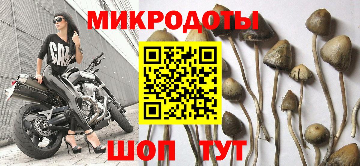 где можно купить   Галлюциногенные грибы Magic Shrooms  Вход с VPN  Котельники  Галлюциногенные грибы прущие грибы 